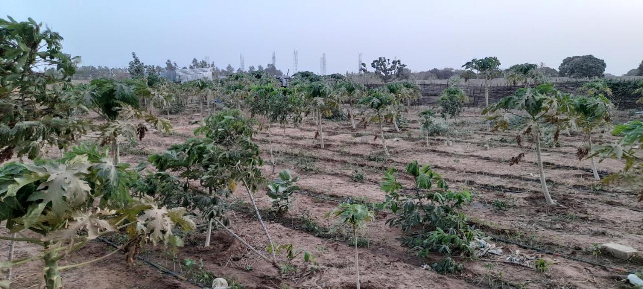 Saly Lrad Le Village Ngaring Exterior foto