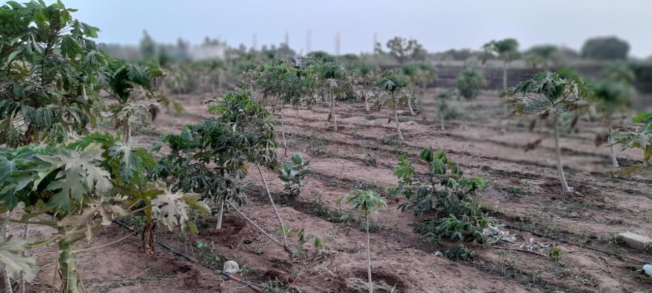 Saly Lrad Le Village Ngaring Exterior foto